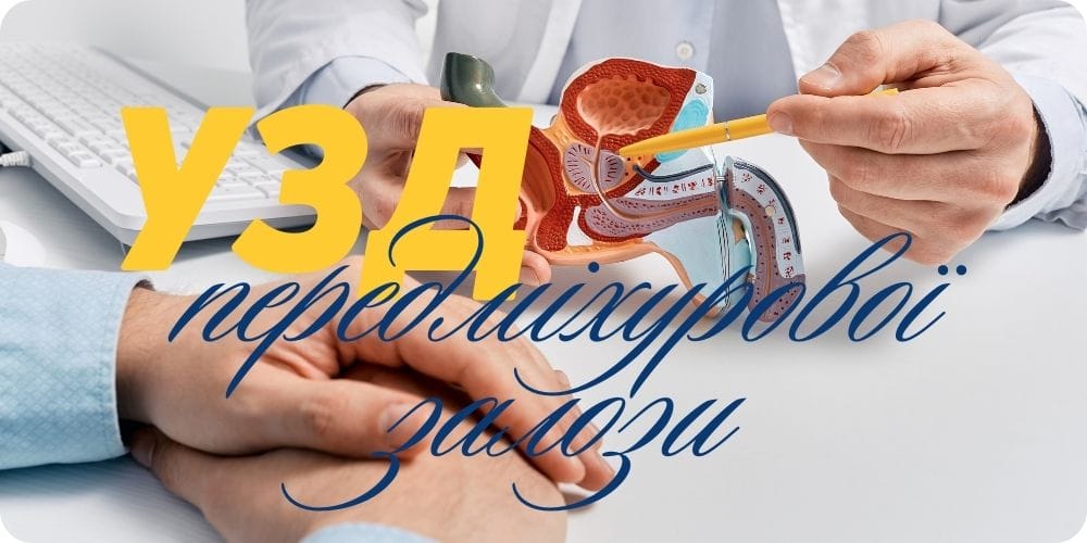 УЗД передміхурової залози