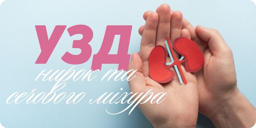 УЗД нирок та сечового міхура