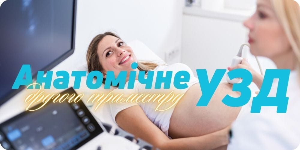 Анатомічне УЗД другого триместру
