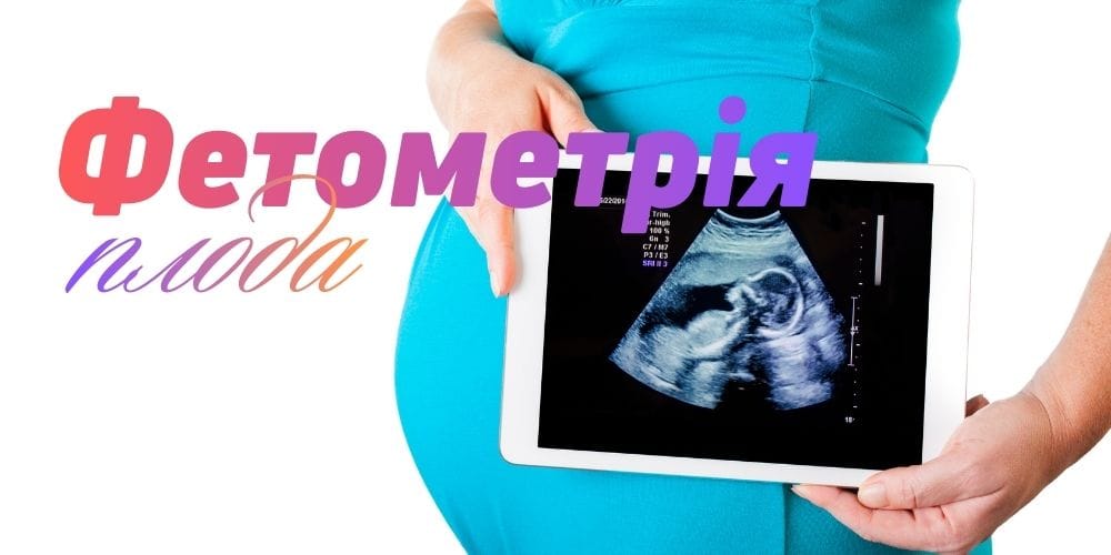 Фетометрія плода